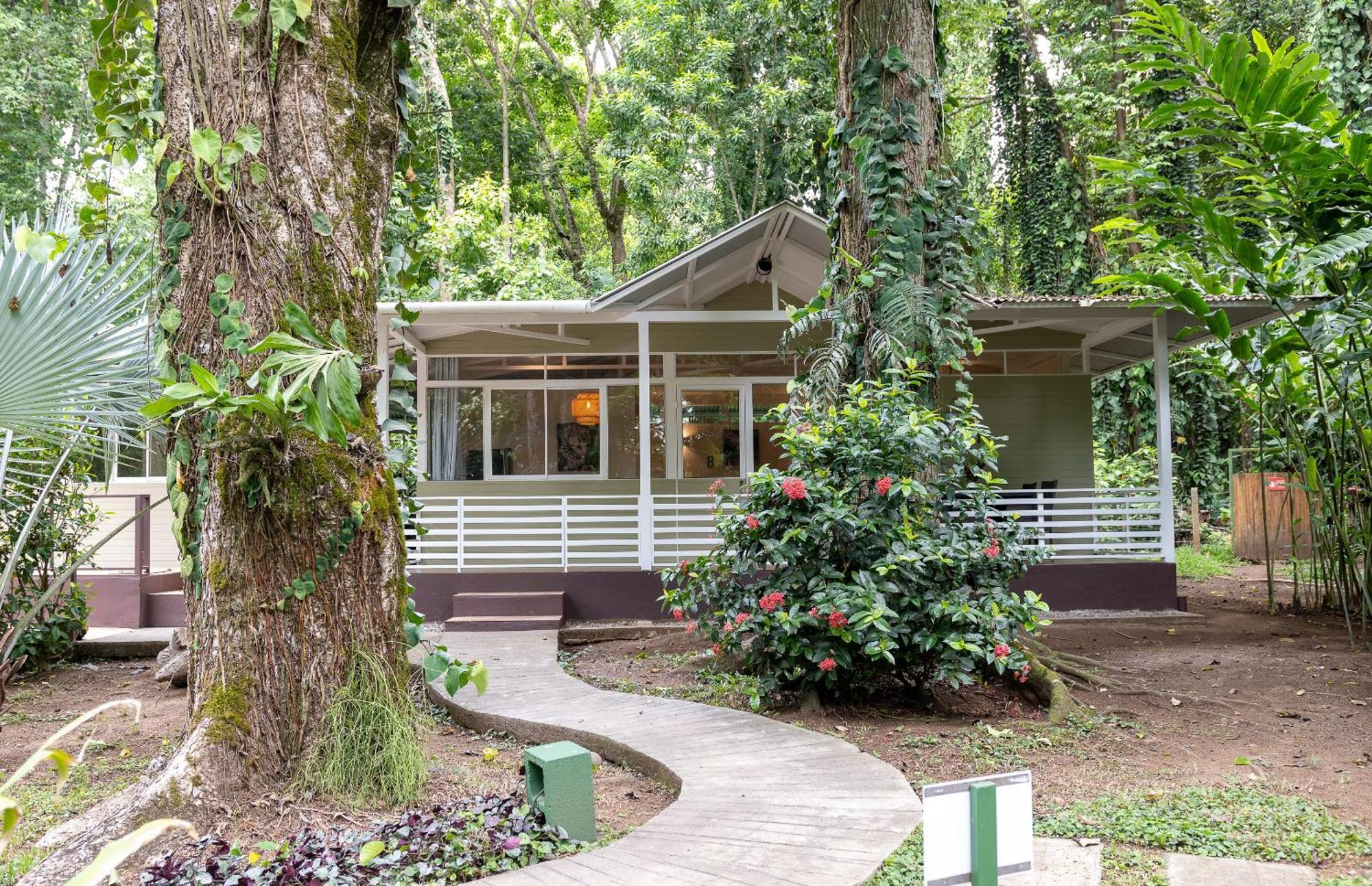 Jaguar Inn Bungalows Puerto Viejo de Talamanca Esterno foto