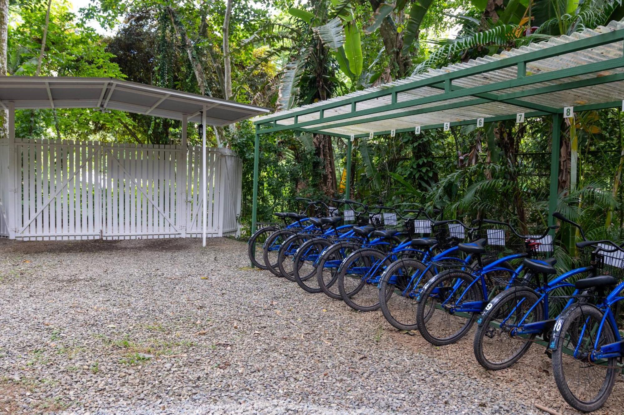 Jaguar Inn Bungalows Puerto Viejo de Talamanca Esterno foto