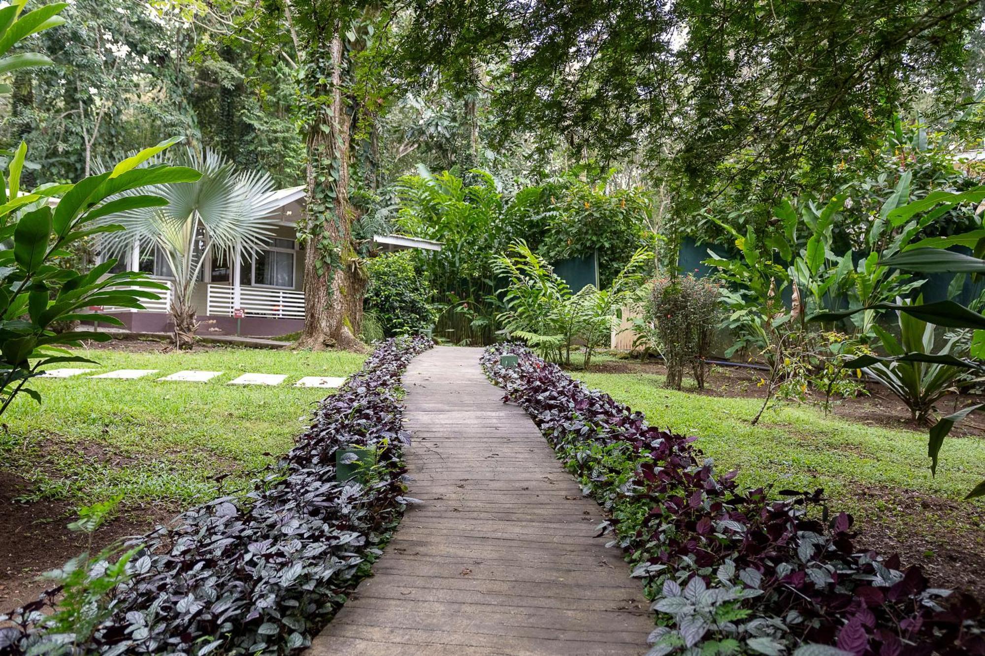Jaguar Inn Bungalows Puerto Viejo de Talamanca Esterno foto