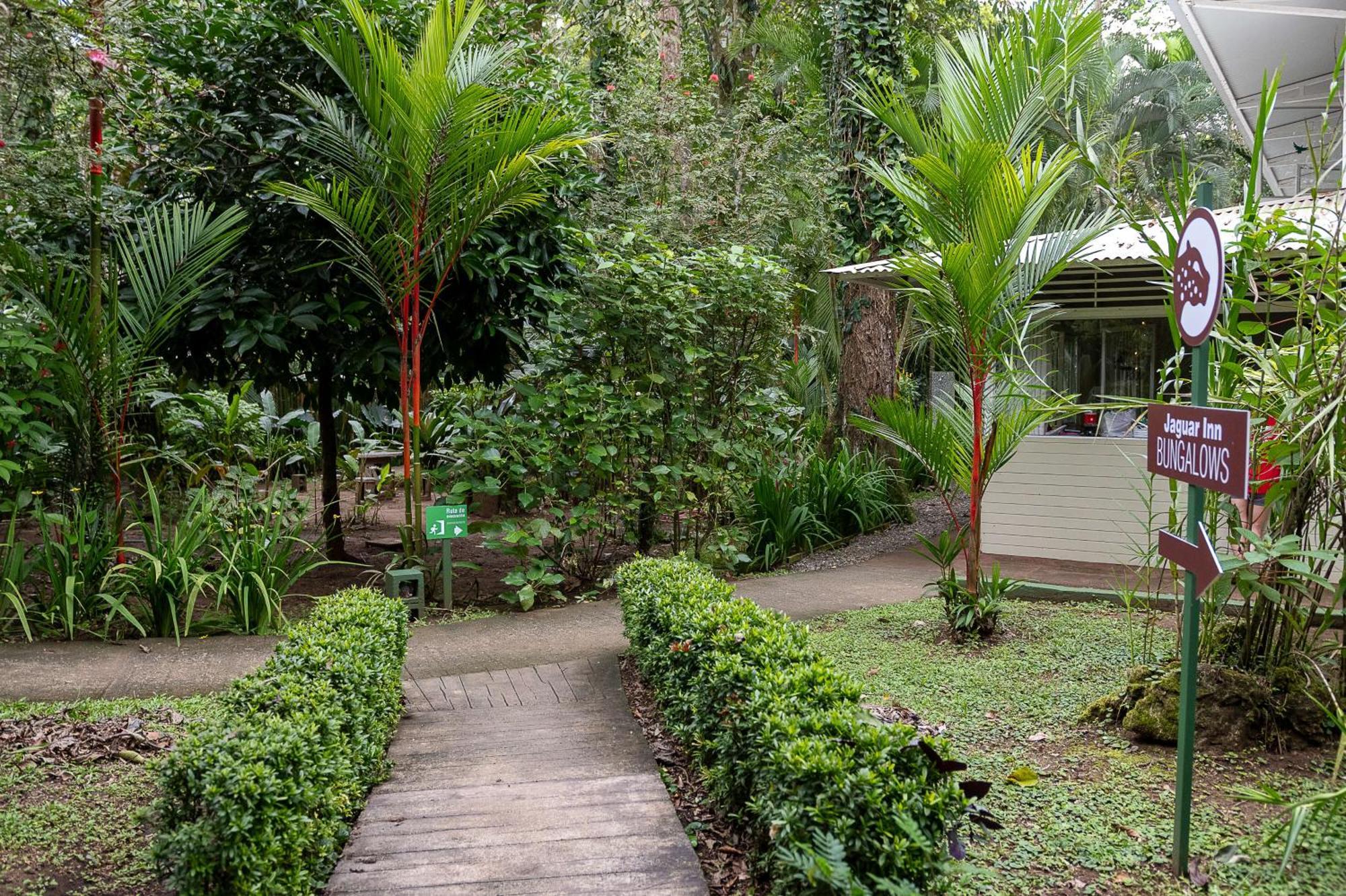 Jaguar Inn Bungalows Puerto Viejo de Talamanca Esterno foto