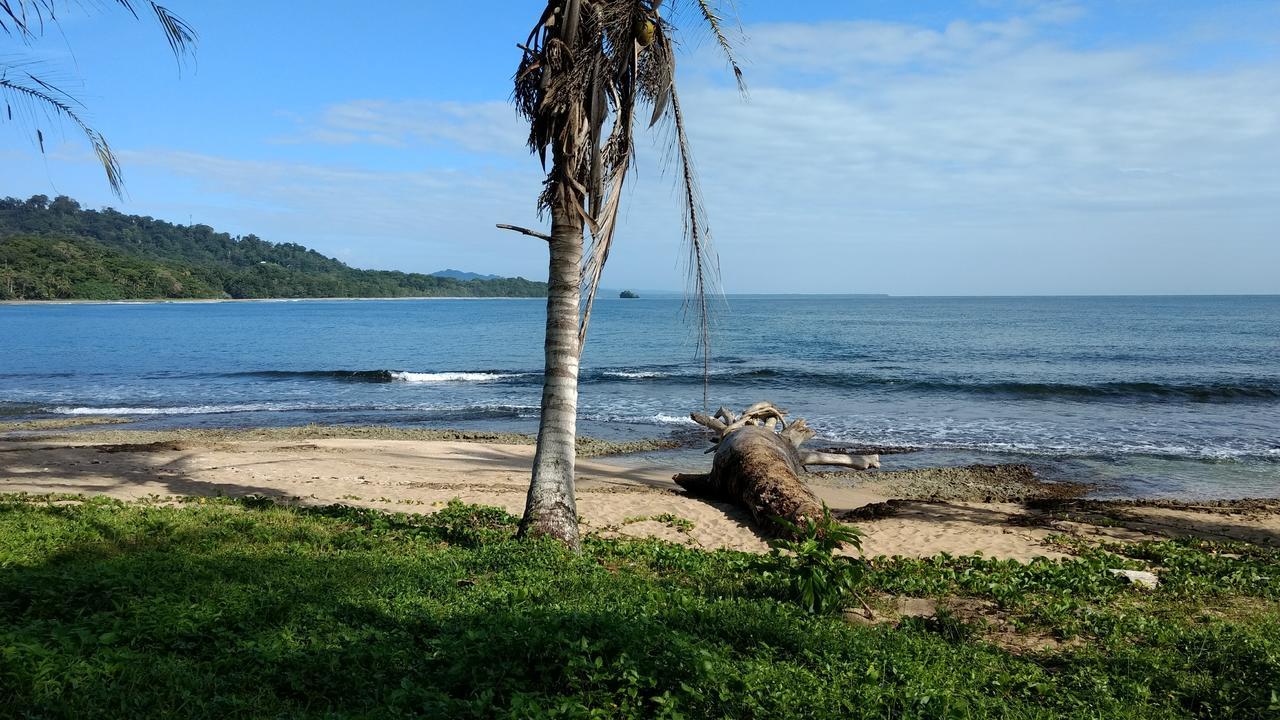 Jaguar Inn Bungalows Puerto Viejo de Talamanca Esterno foto